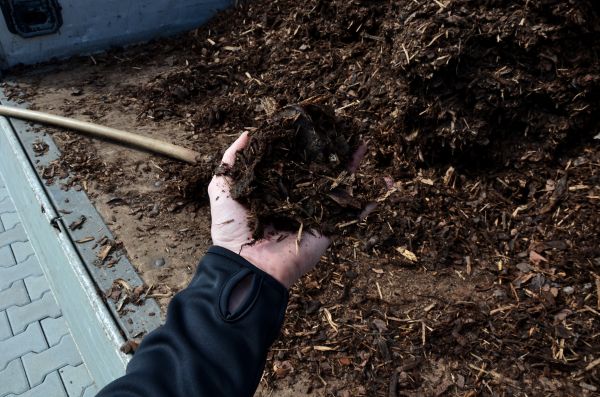 Condo Mulching in Cordova